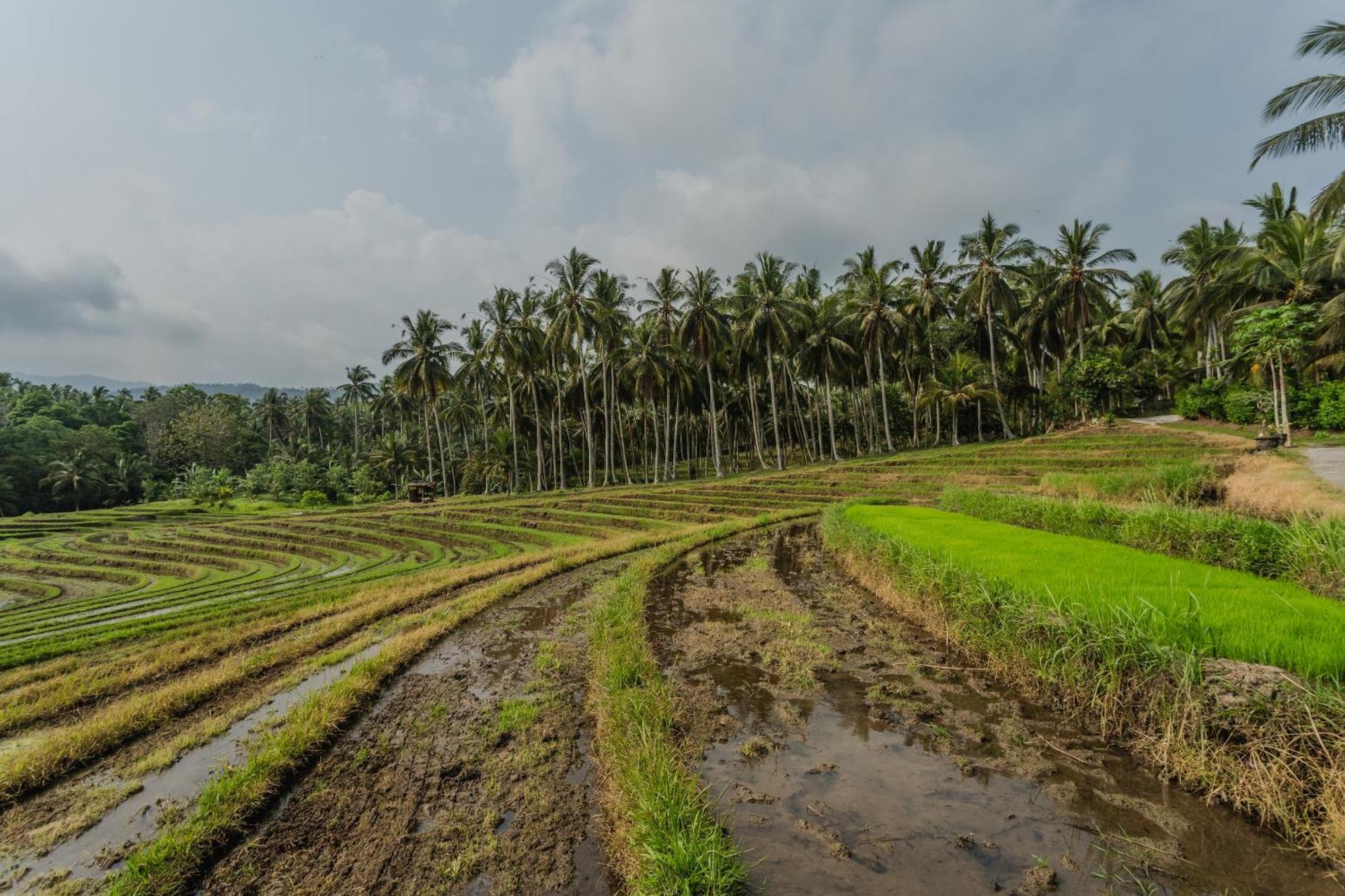 Pondok Hari Baik Balian 외부 사진